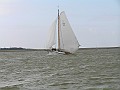 Lemsterbokking08 (149)